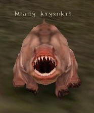 MLAD KRYSOKRT