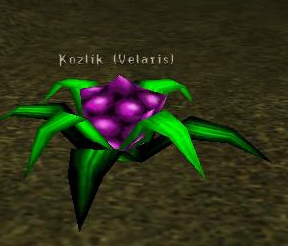 KOZLK (VELARIS)