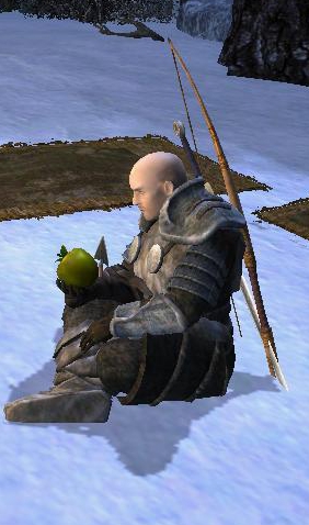 JENSGAR