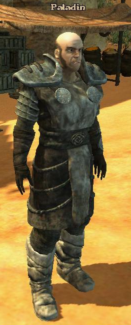 PALADIN